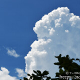 そびえ立つ真夏の入道雲