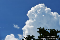 そびえ立つ真夏の入道雲