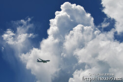 そびえ立つ入道雲と飛行機