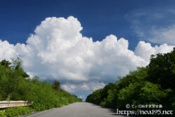 道の先にそびえる入道雲