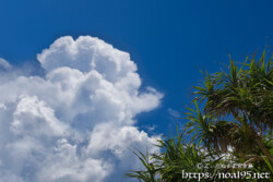 真夏の入道雲