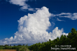 そびえたつ入道雲