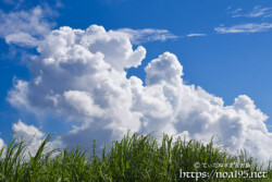 真夏の入道雲