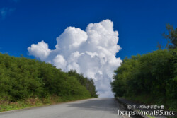 道の先にそびえる入道雲