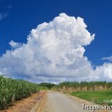 道の先にそびえる入道雲