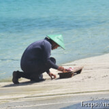 船着場でカツオを捌く海人-佐良浜漁港