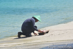 船着場でカツオを捌く海人-佐良浜漁港