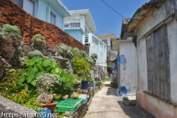 路地の風景-佐良浜集落