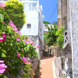 花の咲く路地-佐良浜集落