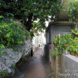 路地にはみ出した岩と木-佐良浜集落