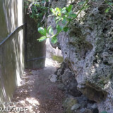 路地にはみ出した岩-佐良浜集落