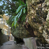 路地にはみ出した岩と木-佐良浜集落
