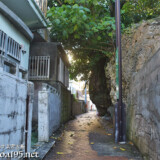 路地にはみ出した岩-佐良浜集落