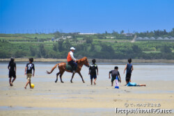 サニツ浜カーニバルで干潟を歩く宮古馬-2012年撮影-