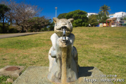 宮古島「盛加越公園」のリス