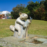 宮古島「盛加越公園」のリス