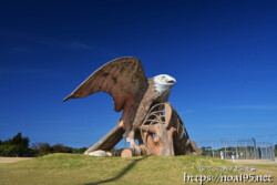 伊良部島「平成の森公園」のサシバ