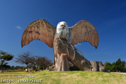 伊良部島「平成の森公園」のサシバ