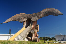 伊良部島「平成の森公園」のサシバ