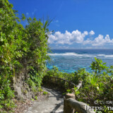 珊瑚礁の海と遊歩道-インギャーマリンガーデン