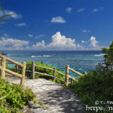 珊瑚礁の海と遊歩道-インギャーマリンガーデン