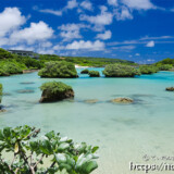 箱庭のような入江-インギャーマリンガーデン