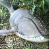 宮古島「崎田緑地公園」のクジラ