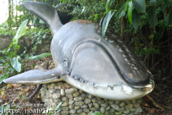 宮古島「崎田緑地公園」のクジラ