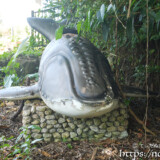 宮古島「崎田緑地公園」のクジラ