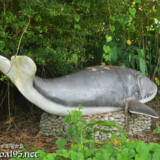 宮古島「崎田緑地公園」のクジラ