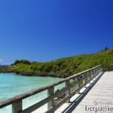 遊歩道から見る青い海-狩俣・八光湾