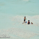 潮の引いたビーチで遊ぶ子供と子犬-東平安名ビーチ