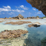 海上に顔を出した珊瑚礁-東平安名ビーチ