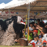 獅子に手を伸ばす子供たち-久松獅子舞