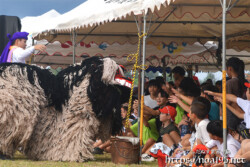獅子に手を伸ばす子供たち-久松獅子舞