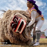 暴れる獅子-久松獅子舞