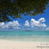 ビーチの木陰-オハマ