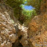 琉球石灰岩の壁と洞窟-マサカダツ