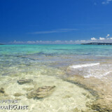 波打ち際のタイドプール-オハマ