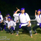 勇ましい静止のポーズ-野原マストリャー