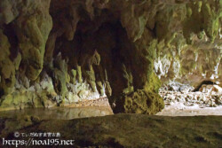 天井からさがる鍾乳石-成川ガー