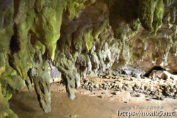 天井からさがる鍾乳石-成川ガー