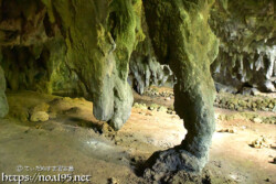 恐竜の頭と足のような鍾乳石-成川ガー