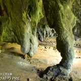 恐竜の頭と足のような鍾乳石-成川ガー