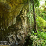 壁や天井を覆う鍾乳石-成川ガー