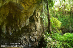 壁や天井を覆う鍾乳石-成川ガー