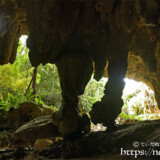 洞窟内から見た鍾乳石の柱-成川ガー