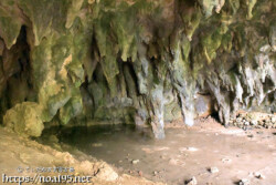 壁を覆う鍾乳石-成川ガー