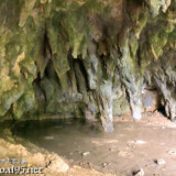 壁を覆う鍾乳石-成川ガー