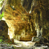 入り口付近の鍾乳石とガジュマル-成川ガー